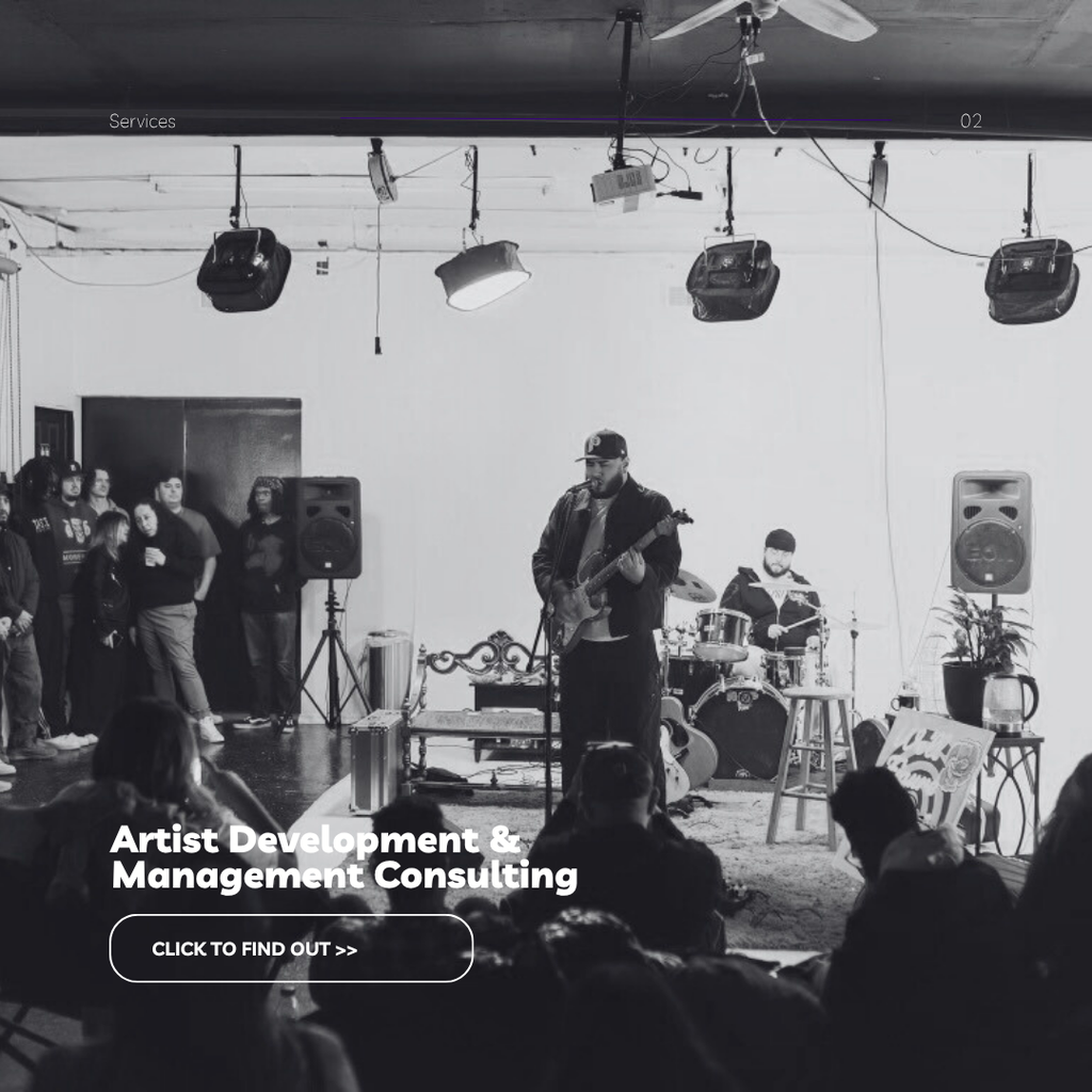 Artist Development & Management Consulting